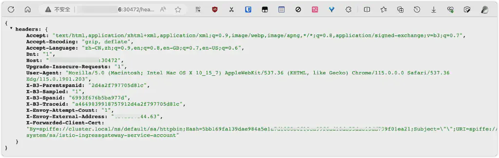 istio-ingressgateway 学习