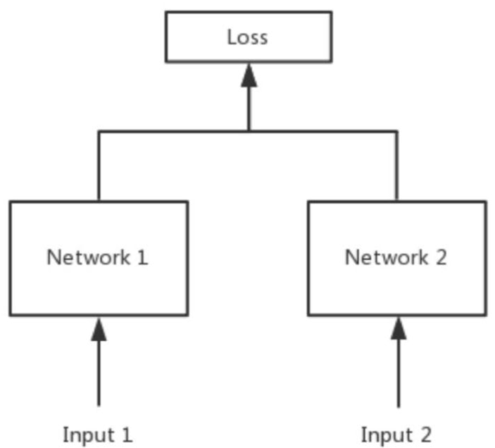 对比损失 Contrastive Loss